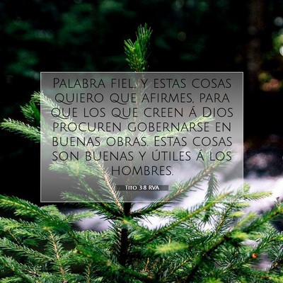 Picture 07 - Tito 3:8 RVA - Palabra fiel, y estas cosas quiero que afirmes, - Bible Verse Picture