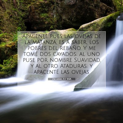 Picture 07 - Zacarías 11:7 RVA - Apacenté pues las ovejas de la matanza, es á - Bible Verse Picture
