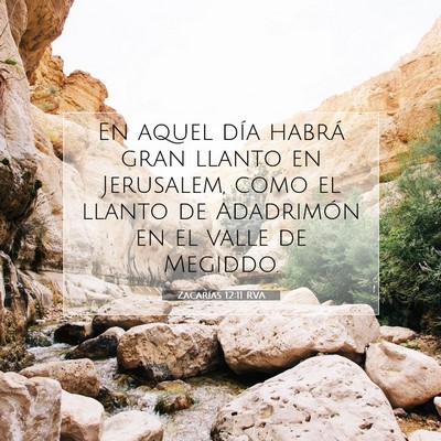 Picture 07 - Zacarías 12:11 RVA - En aquel día habrá gran llanto en Jerusalem, - Bible Verse Picture