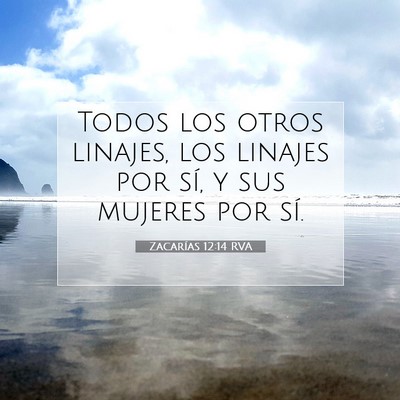 Picture 07 - Zacarías 12:14 RVA - Todos los otros linajes, los linajes por sí, y - Bible Verse Picture