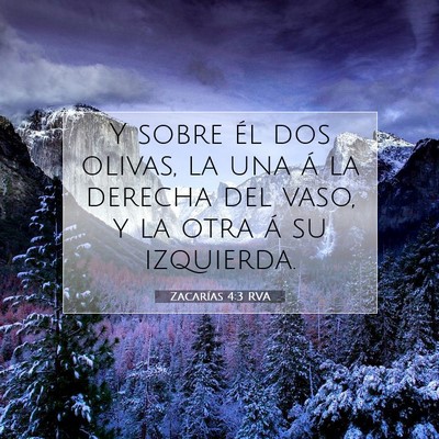 Picture 07 - Zacarías 4:3 RVA - Y sobre él dos olivas, la una á la derecha del - Bible Verse Picture