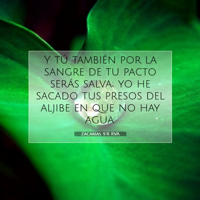 Picture 07 - Zacarías 9:11 RVA - Y tú también por la sangre de tu pacto serás - Bible Verse Picture