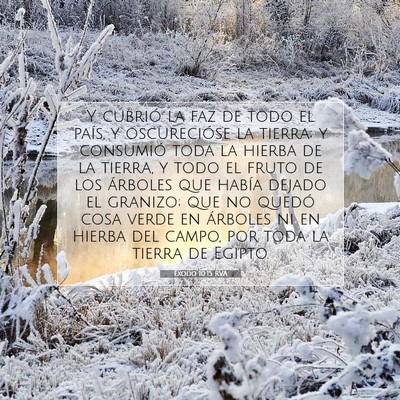 Picture 07 - Éxodo 10:15 RVA - Y cubrió la faz de todo el país, y oscurecióse - Bible Verse Picture
