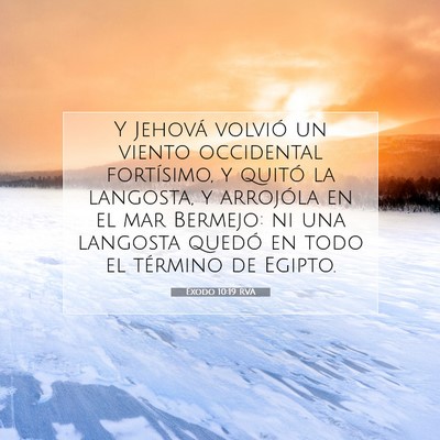 Picture 07 - Éxodo 10:19 RVA - Y Jehová volvió un viento occidental - Bible Verse Picture