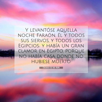 Picture 07 - Éxodo 12:30 RVA - Y levantóse aquella noche Faraón, él y todos - Bible Verse Picture