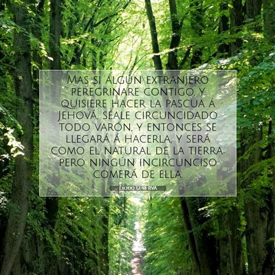 Picture 07 - Éxodo 12:48 RVA - Mas si algún extranjero peregrinare contigo, y - Bible Verse Picture