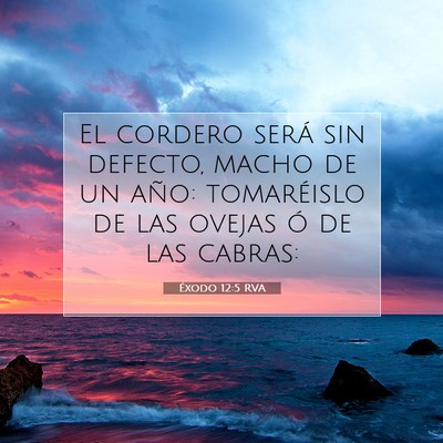 Picture 07 - Éxodo 12:5 RVA - El cordero será sin defecto, macho de un año: - Bible Verse Picture