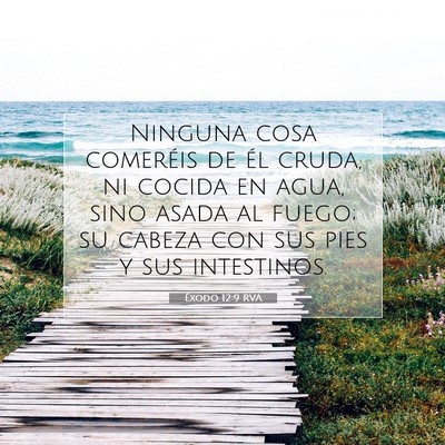 Picture 07 - Éxodo 12:9 RVA - Ninguna cosa comeréis de él cruda, ni cocida en - Bible Verse Picture