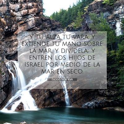 Picture 07 - Éxodo 14:16 RVA - Y tú alza tu vara, y extiende tu mano sobre la - Bible Verse Picture