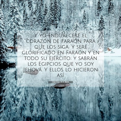 Picture 07 - Éxodo 14:4 RVA - Y yo endureceré el corazón de Faraón para que - Bible Verse Picture