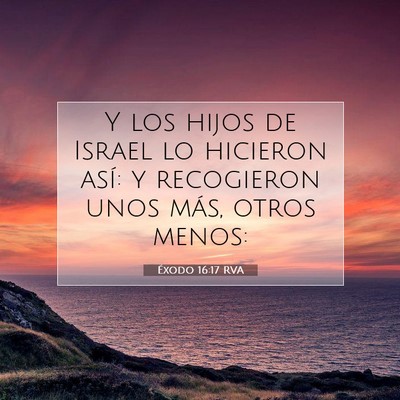 Picture 07 - Éxodo 16:17 RVA - Y los hijos de Israel lo hicieron así: y - Bible Verse Picture
