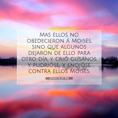 Picture 07 - Éxodo 16:20 RVA - Mas ellos no obedecieron á Moisés, sino que - Bible Verse Picture