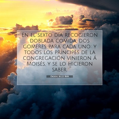 Picture 07 - Éxodo 16:22 RVA - En el sexto día recogieron doblada comida, dos - Bible Verse Picture