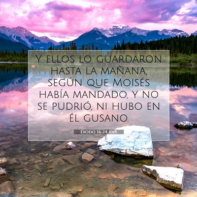 Picture 07 - Éxodo 16:24 RVA - Y ellos lo guardaron hasta la mañana, según que - Bible Verse Picture