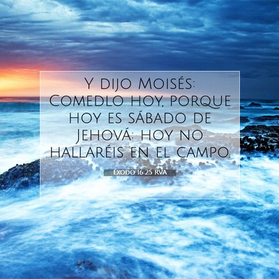 Picture 07 - Éxodo 16:25 RVA - Y dijo Moisés: Comedlo hoy, porque hoy es - Bible Verse Picture