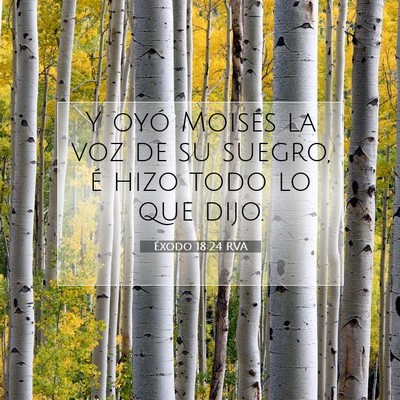 Picture 07 - Éxodo 18:24 RVA - Y oyó Moisés la voz de su suegro, é hizo todo - Bible Verse Picture