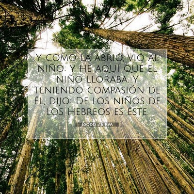 Picture 07 - Éxodo 2:6 RVA - Y como la abrió, vió al niño; y he aquí que - Bible Verse Picture