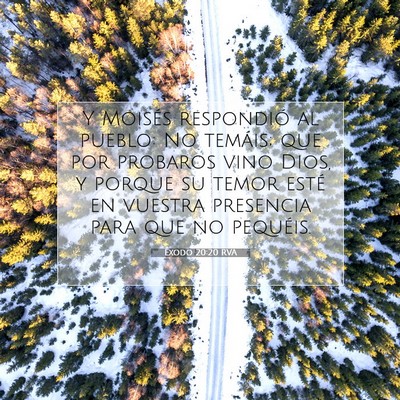 Picture 07 - Éxodo 20:20 RVA - Y Moisés respondió al pueblo: No temáis; que - Bible Verse Picture