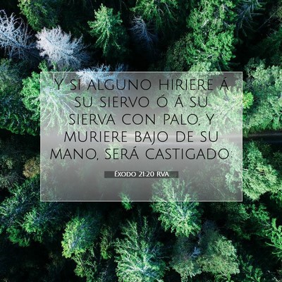 Picture 07 - Éxodo 21:20 RVA - Y si alguno hiriere á su siervo ó á su sierva - Bible Verse Picture