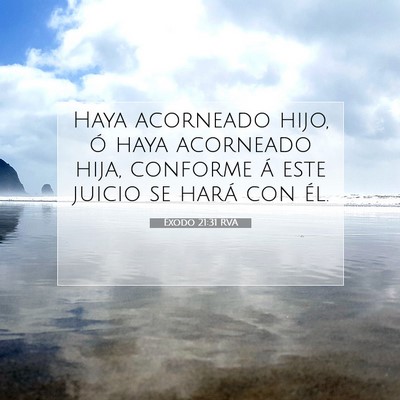 Picture 07 - Éxodo 21:31 RVA - Haya acorneado hijo, ó haya acorneado hija, - Bible Verse Picture