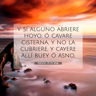 Picture 07 - Éxodo 21:33 RVA - Y si alguno abriere hoyo, ó cavare cisterna, y - Bible Verse Picture