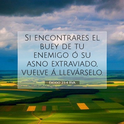Picture 07 - Éxodo 23:4 RVA - Si encontrares el buey de tu enemigo ó su asno - Bible Verse Picture