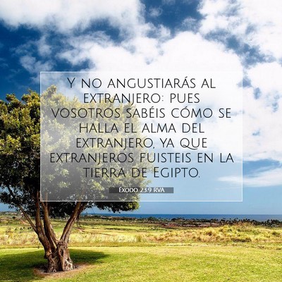 Picture 07 - Éxodo 23:9 RVA - Y no angustiarás al extranjero: pues vosotros - Bible Verse Picture