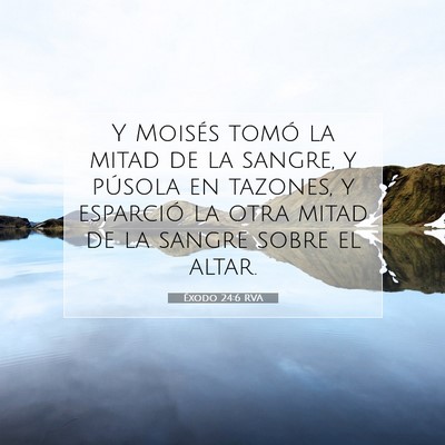 Picture 07 - Éxodo 24:6 RVA - Y Moisés tomó la mitad de la sangre, y púsola - Bible Verse Picture