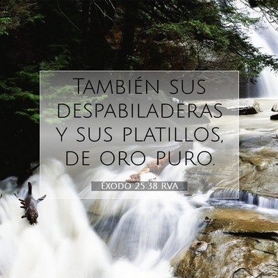 Picture 07 - Éxodo 25:38 RVA - También sus despabiladeras y sus platillos, de - Bible Verse Picture