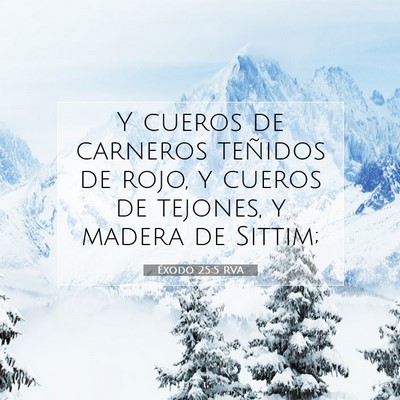 Picture 07 - Éxodo 25:5 RVA - Y cueros de carneros teñidos de rojo, y cueros - Bible Verse Picture