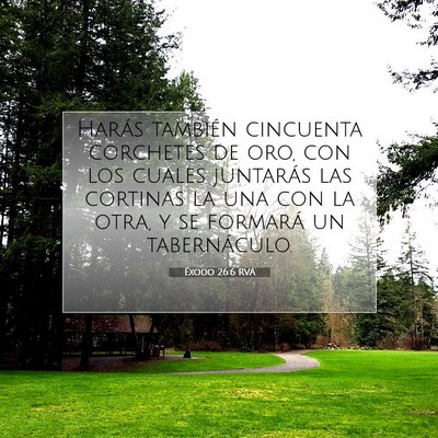 Picture 07 - Éxodo 26:6 RVA - Harás también cincuenta corchetes de oro, con - Bible Verse Picture