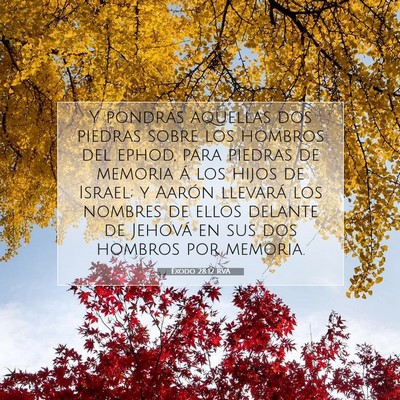 Picture 07 - Éxodo 28:12 RVA - Y pondrás aquellas dos piedras sobre los hombros - Bible Verse Picture