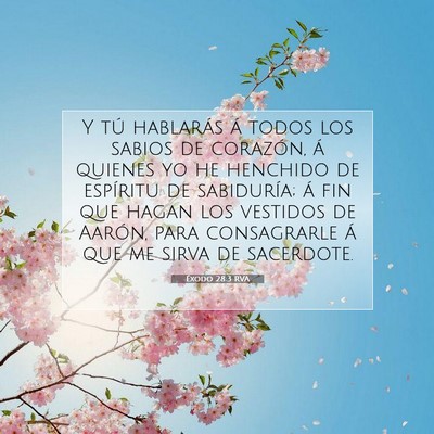 Picture 07 - Éxodo 28:3 RVA - Y tú hablarás á todos los sabios de corazón, - Bible Verse Picture