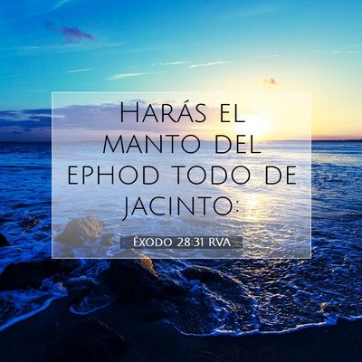 Picture 07 - Éxodo 28:31 RVA - Harás el manto del ephod todo de - Bible Verse Picture