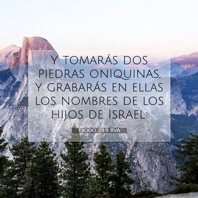 Picture 07 - Éxodo 28:9 RVA - Y tomarás dos piedras oniquinas, y grabarás en - Bible Verse Picture