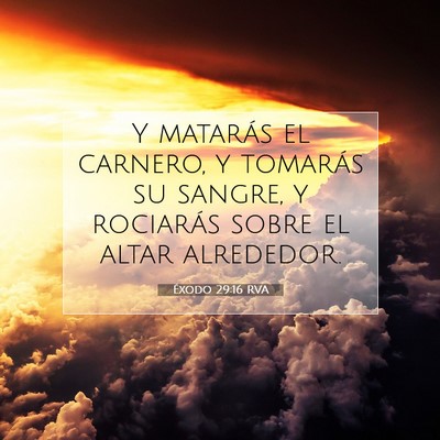 Picture 07 - Éxodo 29:16 RVA - Y matarás el carnero, y tomarás su sangre, y - Bible Verse Picture