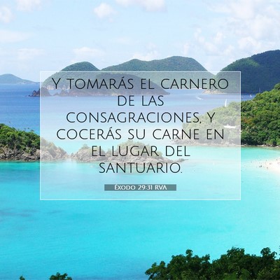 Picture 07 - Éxodo 29:31 RVA - Y tomarás el carnero de las consagraciones, y - Bible Verse Picture
