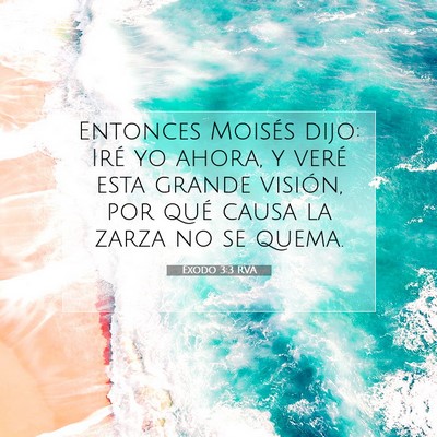 Picture 07 - Éxodo 3:3 RVA - Entonces Moisés dijo: Iré yo ahora, y veré - Bible Verse Picture