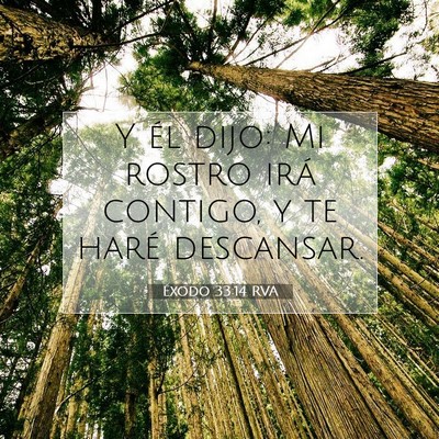 Picture 07 - Éxodo 33:14 RVA - Y él dijo: Mi rostro irá contigo, y te haré - Bible Verse Picture