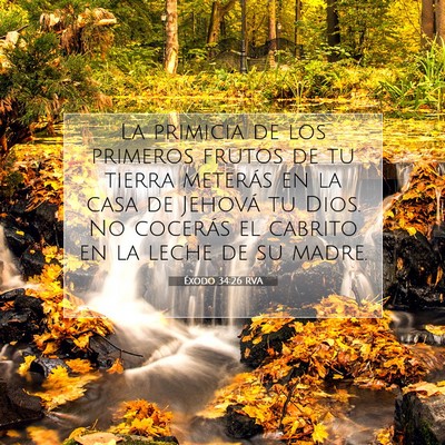 Picture 07 - Éxodo 34:26 RVA - La primicia de los primeros frutos de tu tierra - Bible Verse Picture