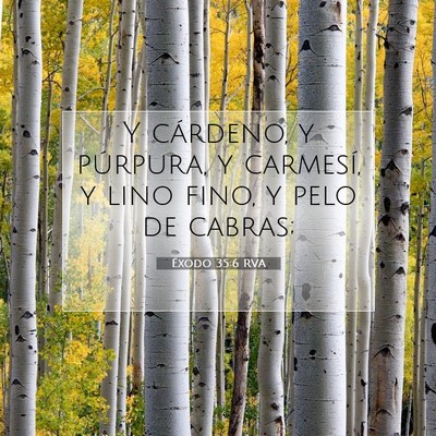 Picture 07 - Éxodo 35:6 RVA - Y cárdeno, y púrpura, y carmesí, y lino fino, - Bible Verse Picture