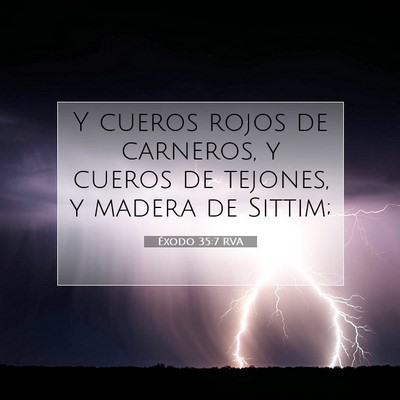 Picture 07 - Éxodo 35:7 RVA - Y cueros rojos de carneros, y cueros de tejones, - Bible Verse Picture