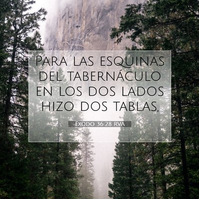 Picture 07 - Éxodo 36:28 RVA - Para las esquinas del tabernáculo en los dos - Bible Verse Picture