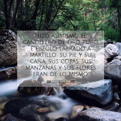Picture 07 - Éxodo 37:17 RVA - Hizo asimismo el candelero de oro puro, é - Bible Verse Picture