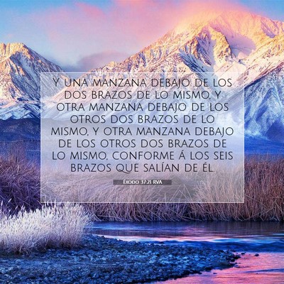 Picture 07 - Éxodo 37:21 RVA - Y una manzana debajo de los dos brazos de lo - Bible Verse Picture