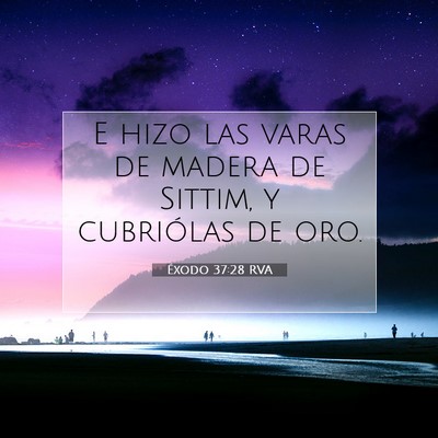 Picture 07 - Éxodo 37:28 RVA - E hizo las varas de madera de Sittim, y - Bible Verse Picture