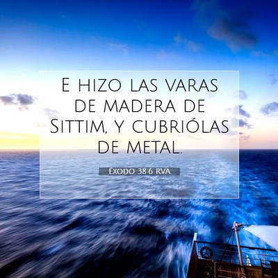 Picture 07 - Éxodo 38:6 RVA - E hizo las varas de madera de Sittim, y - Bible Verse Picture
