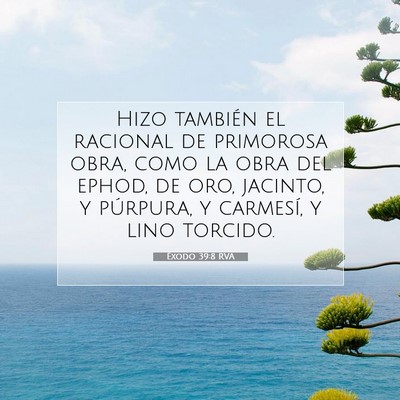 Picture 07 - Éxodo 39:8 RVA - Hizo también el racional de primorosa obra, como - Bible Verse Picture