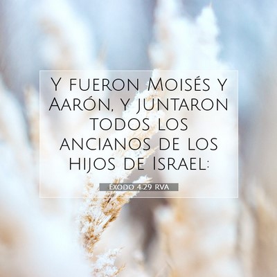 Picture 07 - Éxodo 4:29 RVA - Y fueron Moisés y Aarón, y juntaron todos los - Bible Verse Picture