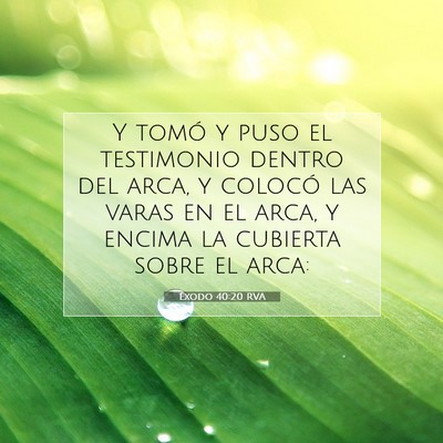 Picture 07 - Éxodo 40:20 RVA - Y tomó y puso el testimonio dentro del arca, y - Bible Verse Picture